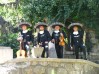 mariachis delivery 02-7279788