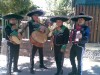 sal y tequila 100% serenatas mariachis en vivo