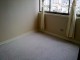 limpieza alfombra limpieza tapiz:97798674 viña quilpue valparaiso 