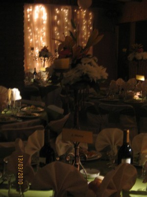 maria oficios y profesiones en Santiago |  banqueteria maria teresa eventos 9845065, matrimonios, graduaciones, bautizos, coctails, eventos a empresas, etc.