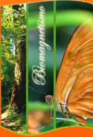 Paola Andrea Gomez Varela oficios y profesiones en Concepción |  Biomagnetismo , tecnica medicinal que aplica imanes en el cuerpo., Alumna del Dr. Goiz, atiende en concepcion , Chile