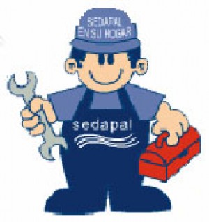 ricardo silva oficios y profesiones en Vi&ntilde;a del Mar |  servicios de gasfiteria, reparaciones mantenciones