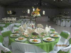 maria teresa oficios y profesiones en Santiago |  banqueteria maria teresa eventos 9845065, matrimonios,graduaciones,aniversarios,eventos a empresas, etc