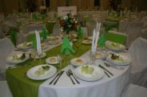 elena oficios y profesiones en Concepci&oacute;n |  SERVICIO DE BANQUETERIA EN CONCEPCION Y ALRREDEDORES/TODO PARA SU BODA , TRONCOSO Y BRAVO BANQUETERIA/Servicio Integral y Profesional