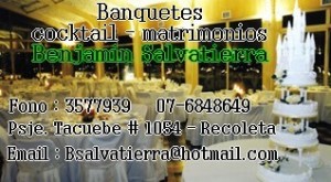 benjamin salvatierra oficios y profesiones en Santiago |  banquetes,eventos, eventos en general