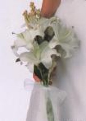 Mauricio Rojas oficios y profesiones en Santiago |  ARREGLOS FLORES NATURALES ** RAMOS DE NOVIA** DECORACION MATRIMONIOS, SERVICIOS DECORACION Y AMBIENTACION, DISE&Ntilde;O Y ESTILO PARA CADA CLIENTA