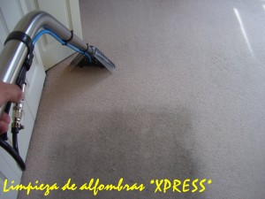 xpress oficios y profesiones en Vi&ntilde;a del Mar |  LAVADO,,LIMPIEZA DE ALFOMBRAS EN VI&Ntilde;A DEL MAR,,,,., casa,depto,oficina