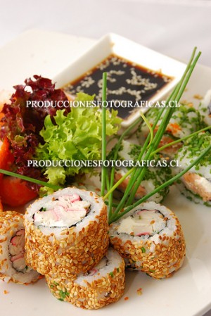 Tania Quezada oficios y profesiones en Vi&ntilde;a del Mar |  Fot&oacute;grafa Profesional, Servicio fotogr&aacute;fico Profecional