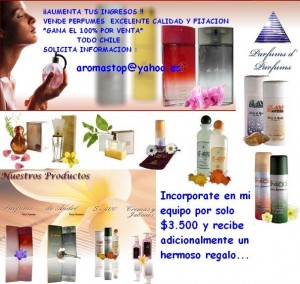  oficios y profesiones en Puerto Montt |  GANA DINERO EXTRA / TIEMPO PARCIAL O COMPLETO, Sin importar DICOM !!!! gana 100% por cada ventas que realices 