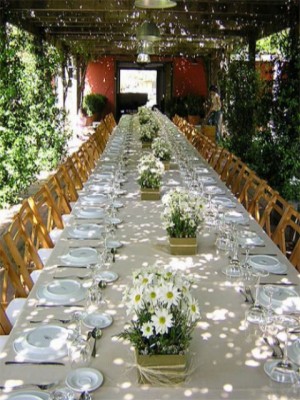 Mauricio Rojas oficios y profesiones en Santiago |  ARREGLOS FLORES NATURALES , RAMOS DE NOVIA, DECORACION MATRIMONIOS, MAURICIO ROJAS - WILMA FUENTES PEINADOS Y MAQUILLAJES A DOMICILIO