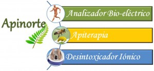 jacqueline zu&ntilde;iga oficios y profesiones en Iquique |  terapias apiterapia en iquique veneno de Abejas para tratar curar , apiterapia en iquique