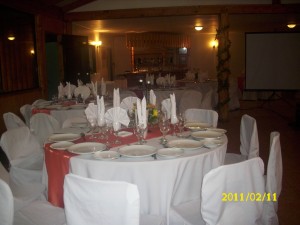 elena oficios y profesiones en Concepci&oacute;n |  BANQUETERIA PARA MATRIMONIO EN CONCEPCION/ EVENTOS EN GENERAL, TRONCOSO Y BRAVO BANQUETERIA/Servicio Integral y Profesional