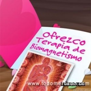 Teresa B. oficios y profesiones en Santiago |  Terapia de Biomagnetismo - Equilibrio de Energ&iacute;as - Terapia con Imanes, Terapias en consulta y a domicilio