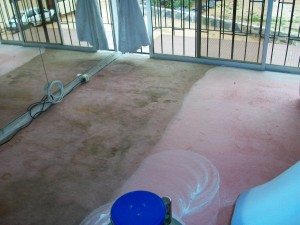 Prolav Chile oficios y profesiones en Valpara&iacute;so |  lavado de alfombras, lavado tapices de autos, LAVADO DE VEHICULOS A DOMICILIO