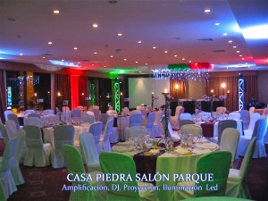 Felipe Guzman oficios y profesiones en Santiago |  Amplificaci&oacute;n, Iluminaci&oacute;n decorativa perimetral Led, Dj, karaoke., Musica para matrimonio, Produccion de eventos, Luces para fiesta Led