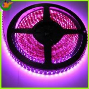 Alice oficios y profesiones en Santiago |  YOY Technology Co., Ltd. , Tiras Flexibles Rosada 240 LED SMD3528 
