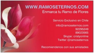 oficios y profesiones en Concepci&oacute;n |  enmarcado de ramos de novia, Cristina Diaz especialista en ramos de novia www.ramoseternos.com