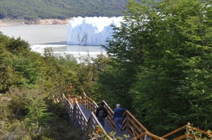 RODOLFO D�AZ MIRANDA oficios y profesiones en Punta Arenas |  TOUR FULL DAY VIAJANDO POR EL D�A DOS DESTINOS TUR&iacute;STICOS GLACIAR PERITO, MORENO EN ARGENTINA Y TORRES DEL PAINE EN CHILE turismomercury@gmail.com