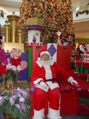 benito oficios y profesiones en Santiago |  Viejo pascuero natural para eventos entrega de regalos, Viejo pascuero natural