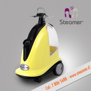 Maria Alicia Martines oficios y profesiones en La Cisterna |  Las mejores planchas a vapor steamer venta y servicio tecnico, Planchas a vapor