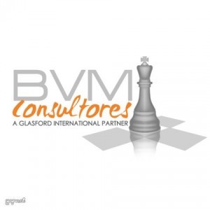 Bvm Consultores oficios y profesiones en La Reina |  Selecci&oacute;n de personal, evaluaci&oacute;n de personal, estudio de rentas, Bvm consultores