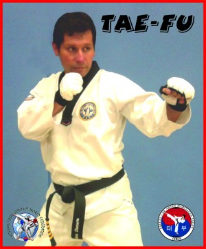 TAE-FU oficios y profesiones en Lo Barnechea |  Clases de artes marciales tae-fu certificaciones mundiales, Particulares y masivas