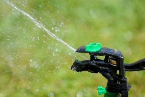 osvaldo c&aacute;rdenas oficios y profesiones en Vi&ntilde;a del Mar |  Riego automatico,tecnificado, construcci&oacute;n de areas verdes, paisajismo, Mantencion de jardines, quinta regi&oacute;n