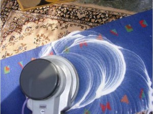 carlos weitz oficios y profesiones en Vi&ntilde;a del Mar |  Limpieza profesional de alfombras 83295267 quinta region, Limpieza de alfombras tapices vi&ntilde;a concon quilpue villa alemana