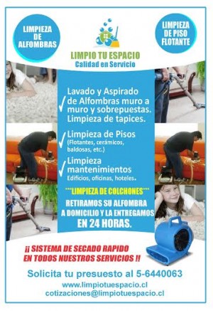 Carolina Castillo oficios y profesiones en Vitacura |  Limpieza de alfombras y sillones en todas las comunas cel:56440063, Limpieza de alfombras en &Ntilde;u&Ntilde;oa, providencia, lo barnechea, macul,stgo