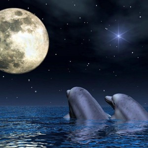 Jade oficios y profesiones en Santiago |  Tarot, hechizos,amarres de amor y mucho mas, Tarot jade y mucho mas