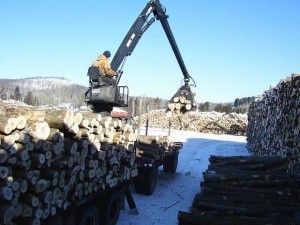 RICARDO EMPRANZA oficios y profesiones en Puente Alto |  CHOFER PARA CAMION CON GARRA FORESTAL, CHOFER PARA CAMION CON GARRA FORESTAL