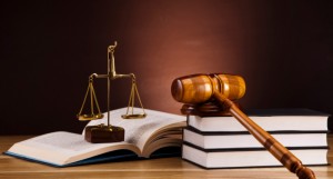 Jessica M�ller oficios y profesiones en Santiago |  Procuradora de investigaci&oacute;n jur&iacute;dica. derecho medioambiental chileno, Derecho medioambiental