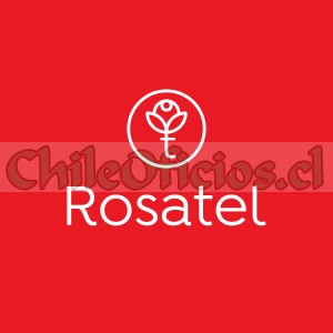 Rosatel oficios y profesiones en Ñuñoa |  Regala flores a domicilio con florería rosatel, Flores a domicilio el mismo día