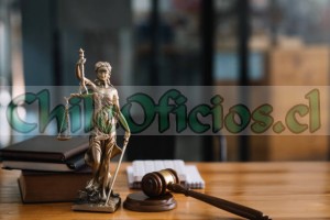 Abogados de familia oficios y profesiones en Puerto Montt |  Abogados penalistas y de familia en puerto montt y alrededores, Abogados especilistas en derecho penal y de familia